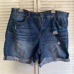 Terra & Sky Women's Plus  Denim Distressed medium Wash Shorts 22W Photo 0