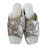 Matisse Holden Snakeskin Leather Platform Shoe Sandal Chunky‎ Sz 9 Anthropologie Tan Photo 1