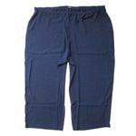 Eileen Fisher NWT Straight Crop in Midnight Silk Georgette Crepe Pull-on Pant 3X Photo 1