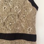 Max and Cleo  Lace Mini Dress Sleeveless Tan Black Contrast Lined Zip Up Zipper 8 Photo 2