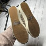 Madewell Sidewalk Low-Top Sneakers in Spot Dot Calf Hair Size 7M Photo 6