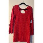 Free People  Wild Thing Red‎ Crochet Eyelet Long Sleeve Dress Size L NWT Photo 2
