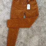 Cello Rust Corduroy Jeans Photo 0