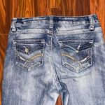 Cato  premium Photo 3