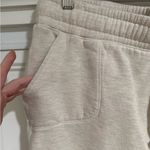 ALBION FIT  At Ease Joggers in Birch Photo 4