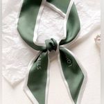 Thin Purse Scarf / Hairband / Scarf Photo 1