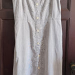 Everlane The Cotton Weave Picnic Tank Dress Striped Blue White | Size 10 Photo 0