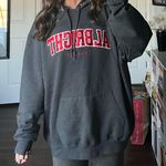 Champion Albright College  Hoodie Photo 1