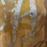 Apple Bottoms 🌟🌟🌟BOGOHO🌟🌟🌟Yellow Sequin Flutter Sleeve Blouse-3X Photo 5