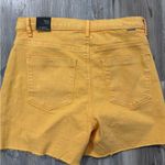 Tractr Yellow High Waist Denim Shorts NWT Size 6 Photo 1