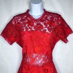 Lovers + Friends  Mon Amor Red Lace Overlay Mini Dress - Size Medium Photo 4