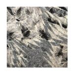 Cartise Ombré Wool Blend Belted Portrait Collar Blazer Dress Small Black Photo 3