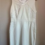 Antonio Melani  Ivory and White Floral Lace Structured Sheath Dress 10 Photo 1