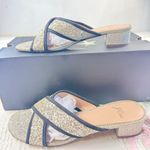 J.Crew Womens Glitter Criss Cross Slip On Block Heel Sandals Slides Size 8 Photo 0