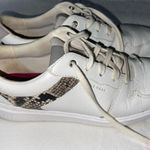 Cole Haan  Women's Grand Crosscourt Modern Tennis Sneakers White Snake US 8B Photo 2