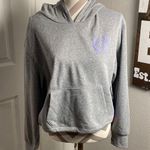 Aeropostale Aeropostal Sport women’s New! Gray cropped Hoodie with Purple Logo size XL Photo 0