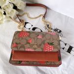 Coach Mini Klare Crossbody In Signature Canvas With Wild Strawberry Print ch521 Photo 3