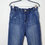 sts blue  Cropped Tapered Leg Women's Jeans Size 30 Cropped Distressed Jeans Photo 2