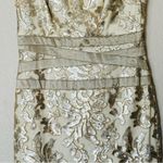 Tadashi Shoji Embroidered Lace & Sequin V-Neck Off-White Sheath Dress Size 0 Photo 4