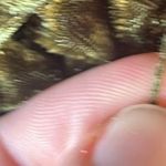 Alexia Admor Velvet Wrap Dress - Missing Belt! Photo 6