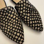 Jenni Kayne NWOB  Genuine Calf Hair Mule in Black Honey Giraffe Slip On Size 36 Photo 2