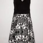 Haute Monde High-Low Cocktail Dress Photo 0