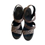 I.D. Required Cheetah Animal Print Chunky Sandals Women’s Size 9 Black Brown Photo 1