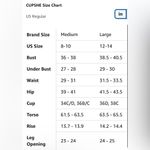 Cupshe  Women's Stripe Bikini Bowknot Shirred Swimsuit Large L NWT Photo 8