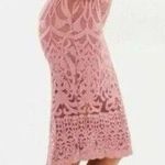 Bardot 4 XS Gia Lace Pencil Midi Dress Spaghetti Strap Pink Photo 1