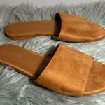 J.Crew  Microsuede Single Strap Slide Sandals Cedar Wood Brown Size 6 Photo 3