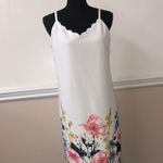 Cato NWT  Floral Dress Photo 0