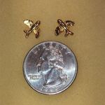 Gold Tone Dainty Airplane Boho Stud Earrings Photo 4