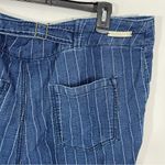 Anthropologie Pilcro and the Letterpress Pinstriped Jeans Size 32 Button Fly Photo 2
