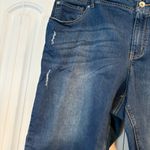 Cato Denim Bermuda Shorts Size 20W Photo 3