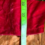 NWT BELTAINE Red Velvet Garnet Tulip Long Sleeve Mini Dress Photo 9