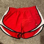 Nike  Dry Fit Shorts Photo 0