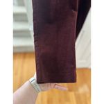 Talbots Chocolate Burgundy Brown Velvet Ankle Trousers Photo 2
