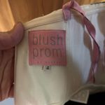 Blush Prom Floral formal Dress Photo 6