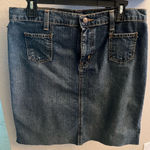 Ralph Lauren Polo ladies “Teeny Skirt” size 10 Photo 0