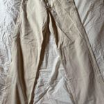 Brandy Melville John Galt Tammy Cargo  Pants Photo 0