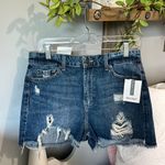True Craft High Rise Denim Shorts Jean Cutoffs  Womens 9 Photo 2