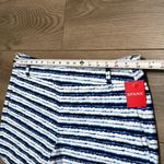 Spanx Sunshine 6" Painted Stripe High Rise Summer Swim Shorts Blue White Size 1X Photo 3