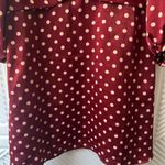 ZARA  Polka Dot Dress Photo 7