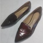 Isola  Patent Point Toe Flats Photo 3