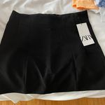 ZARA Mini Skirt Photo 0