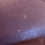 Kate Spade  Maroon Crossbody Bag Photo 8