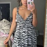 Animal Print Mini Dress Gray Photo 0