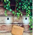 Nisolo Leather Crossbody Bag Purse Adjustable Strap Camel Beige Brown 10"x8" GUC Photo 5