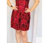 Gabby Skye  women dress 6 Burgundy Black Fit & Flare‎ Satin Velvet Whimsigoth Photo 0