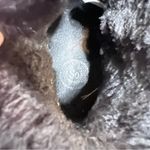 SO  Black Plush Fur-Lined Ankle Boots Size 9 Photo 5